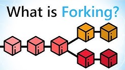 What are Blockchain Forks?